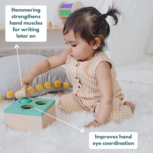 Curious Cub Montessori Learning Wooden Toys