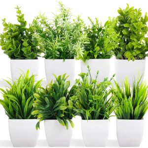 Dekorly Artificial Potted Plants