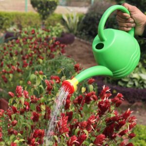 Plastic Green Water Can with Sprayer