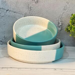 Praahi Lifestyle Premium Ceramic Salad Bowl